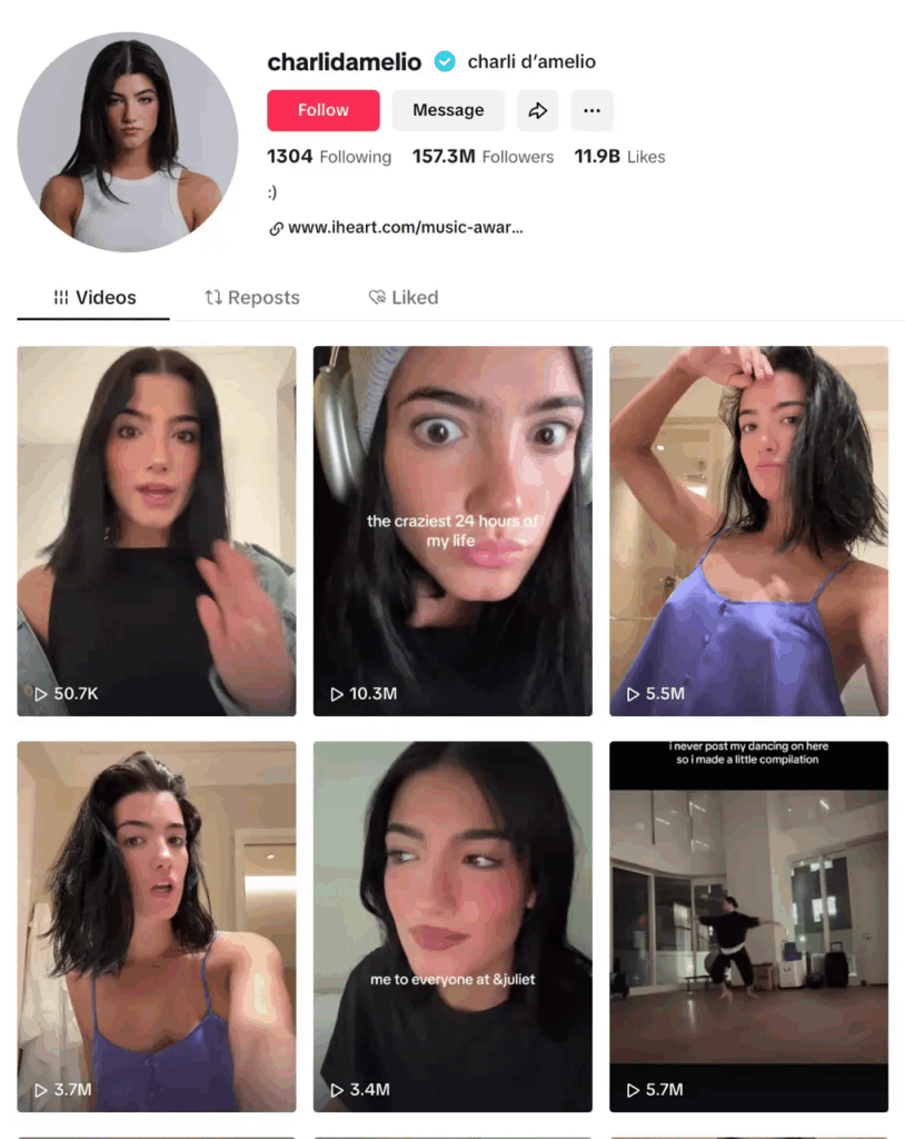 Social Media Influencers