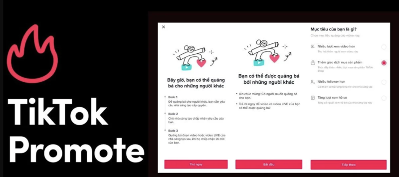 TikTok Promote